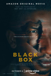 Чёрный ящик (2020)